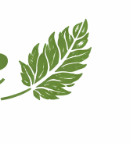 Earthyways