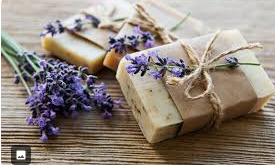 Lavender Fields